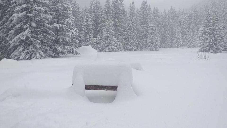 Хижа Ловна В Рила Panichishte Exteriör bild