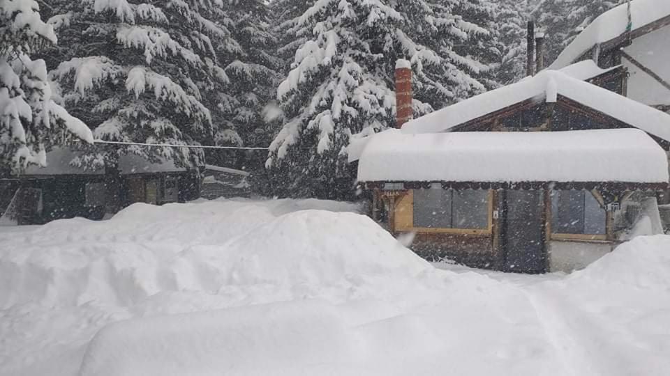 Хижа Ловна В Рила Panichishte Exteriör bild